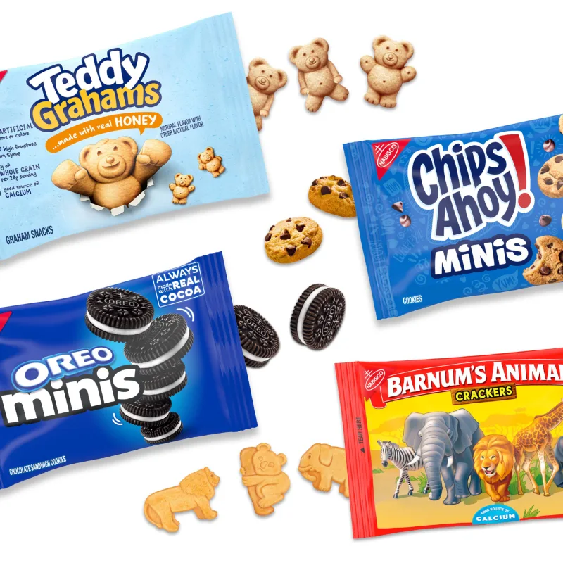 Nabisco Team Favorites Variety Pack with Teddy Grahams, photo 3